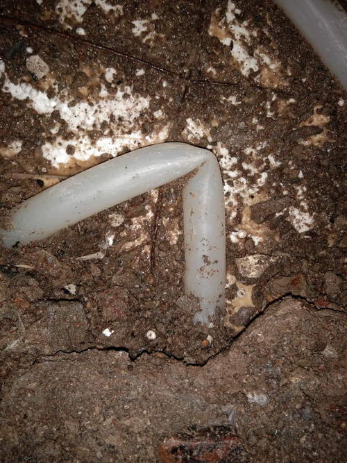 太白堵点精准查找